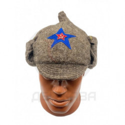 Буденовка РККА, Кавалерийские войска