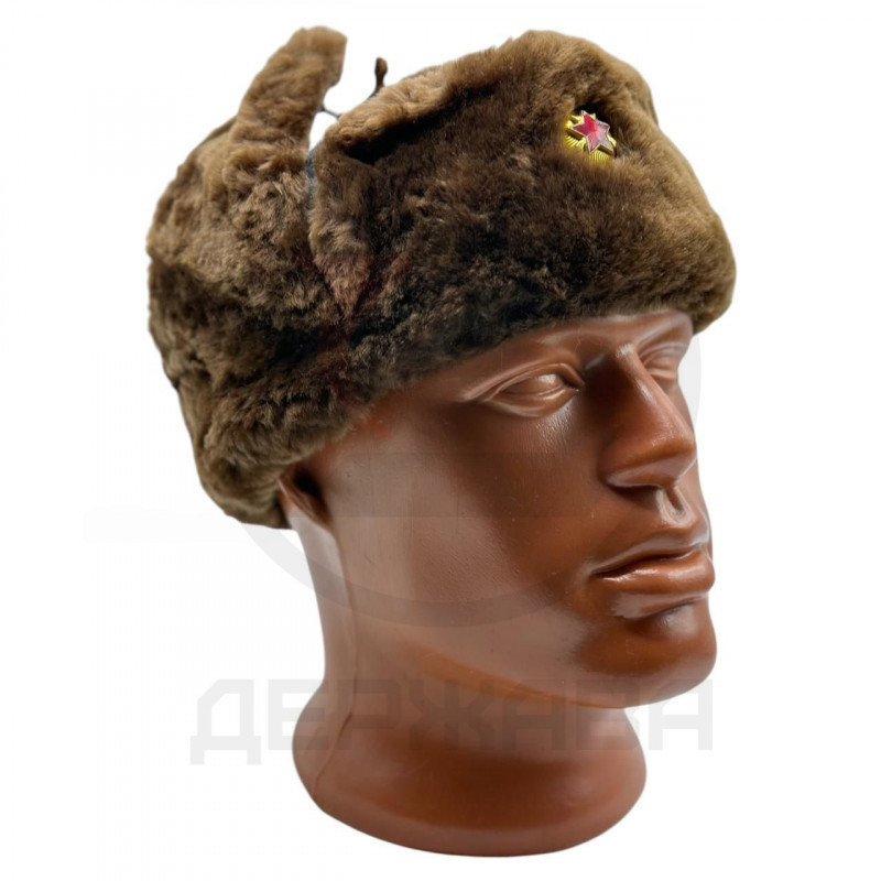 Шапка ушанка зимняя, ВОХР, с кокардой, СССР